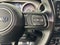2020 Jeep Wrangler Unlimited Freedom Edition