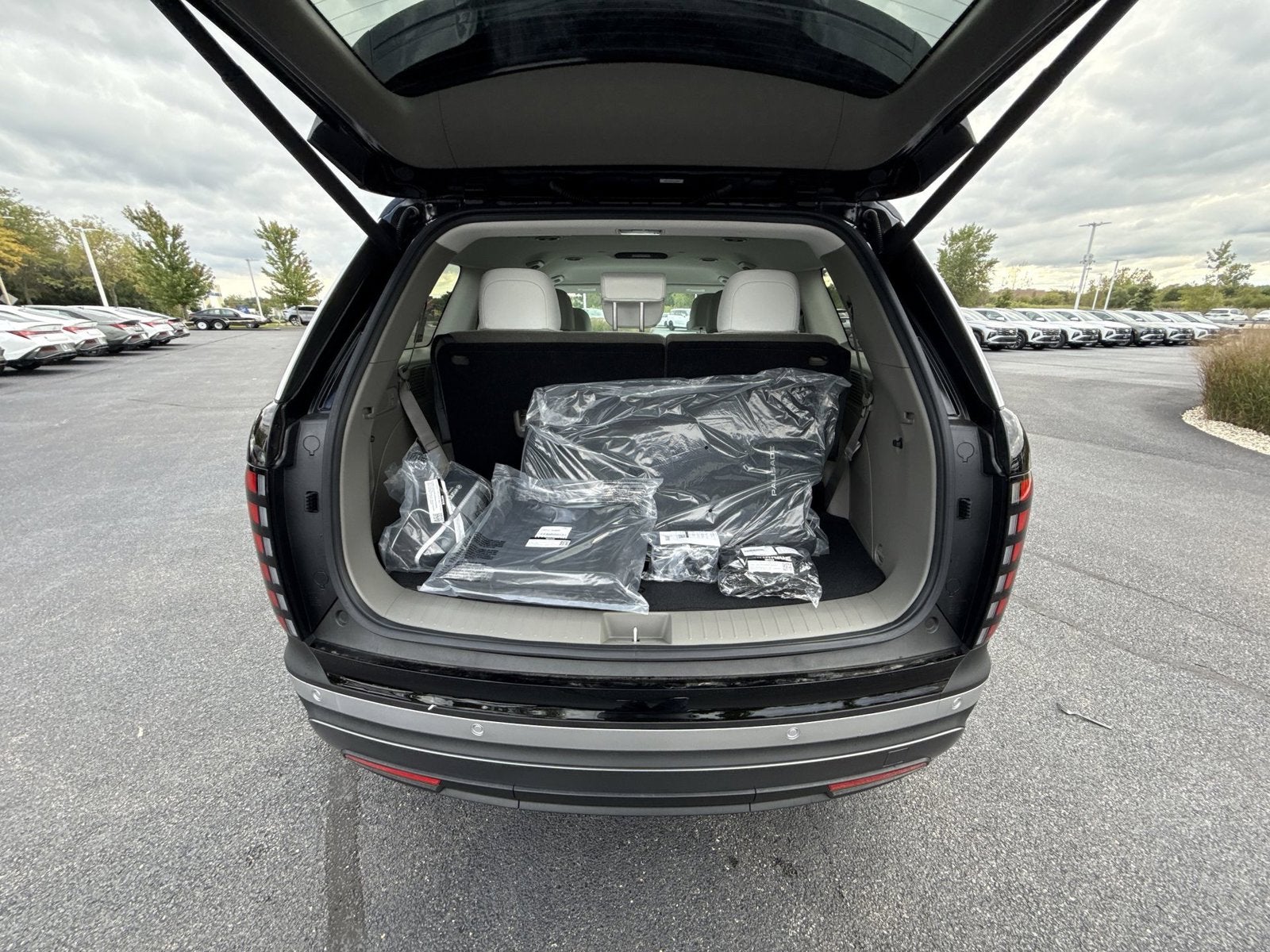 2027 Hyundai PALISADE HYBRID SEL 7 Passenger