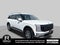 2027 Hyundai PALISADE HYBRID SEL 7 Passenger