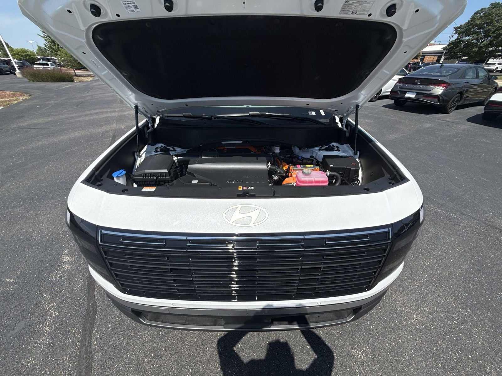2026 Hyundai PALISADE HYBRID SEL 8 Passenger