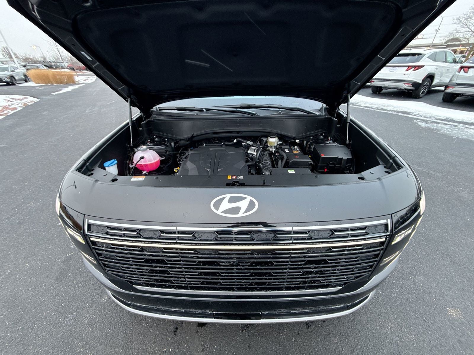 2026 Hyundai PALISADE Calligraphy