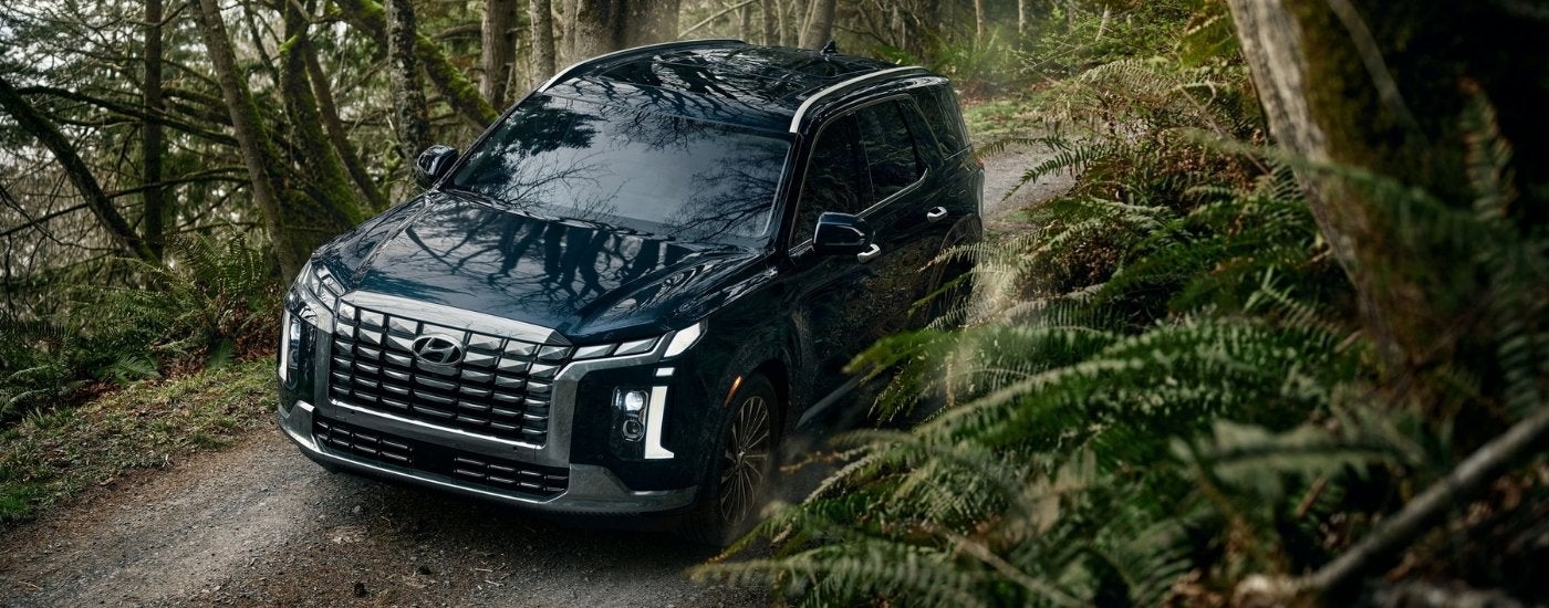 Black 2025 Hyundai Palisade driving on a trail